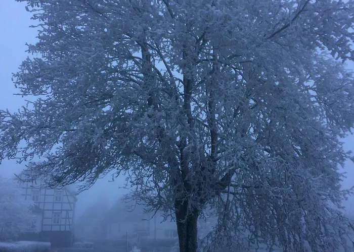 Апартаменты Ferienapartment Landwohnung Laura